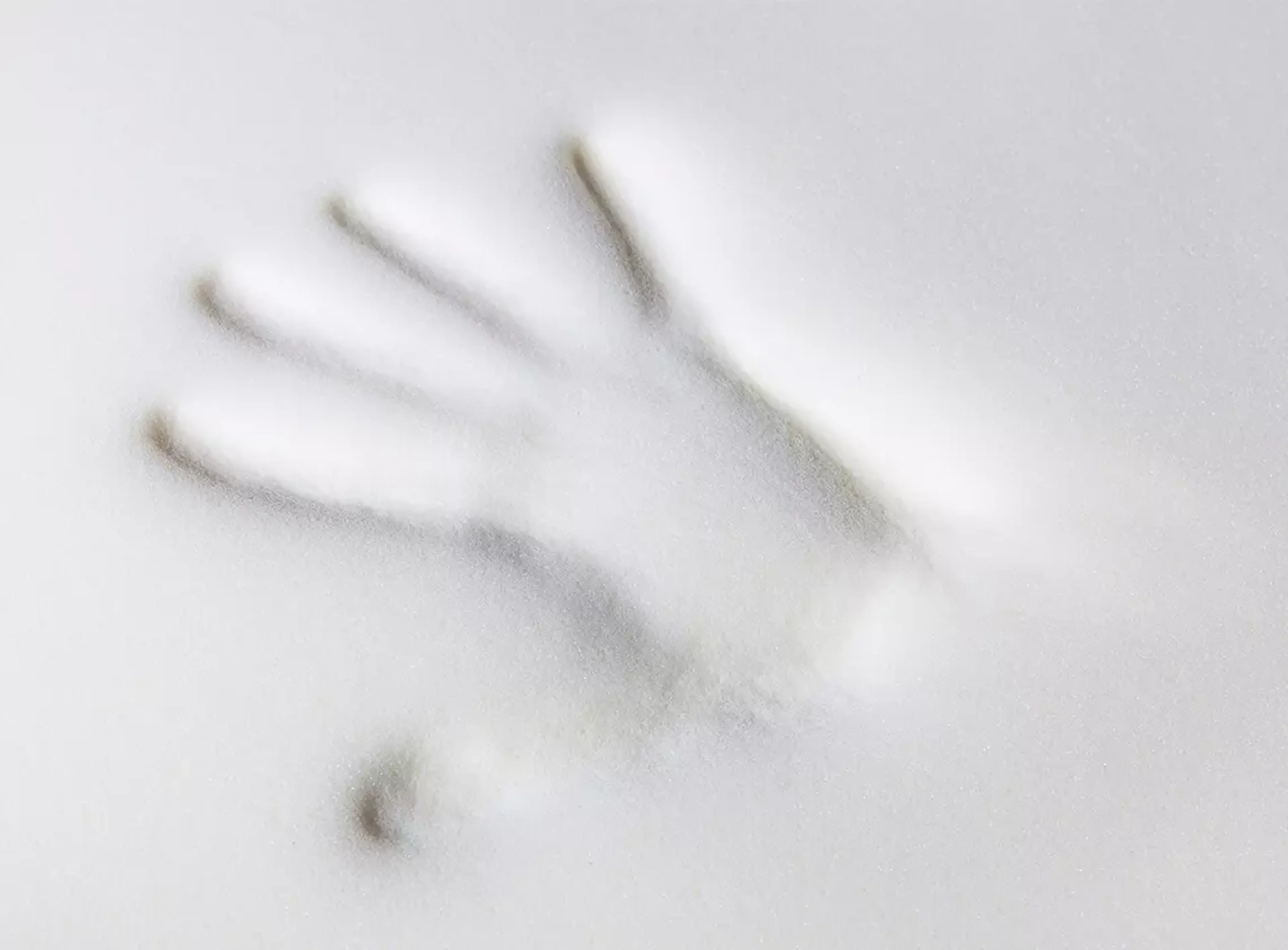 Viscoschaummatratzen