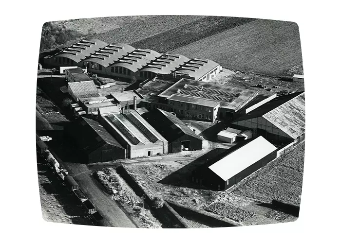 1982